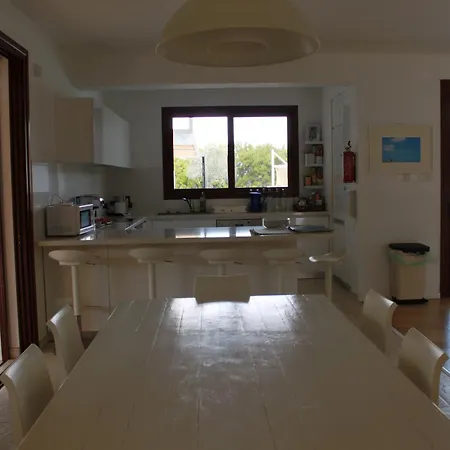 Βίλα The Olive Tree *