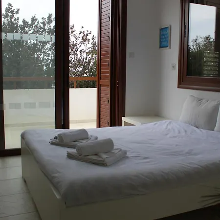 The Olive Tree * Πρωταράς