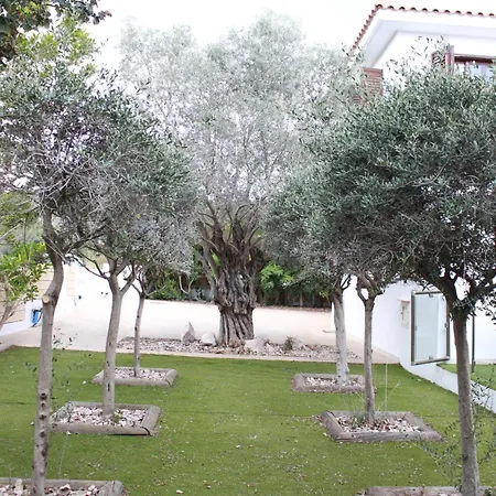 The Olive Tree Βίλα Πρωταράς
