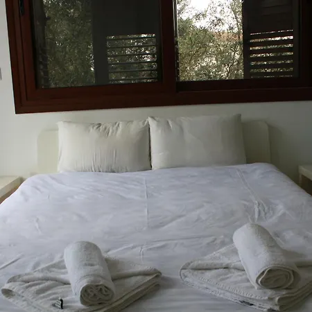 The Olive Tree * Πρωταράς