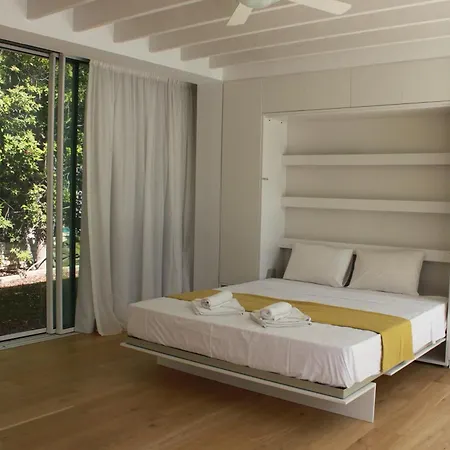 The Olive Tree Πρωταράς