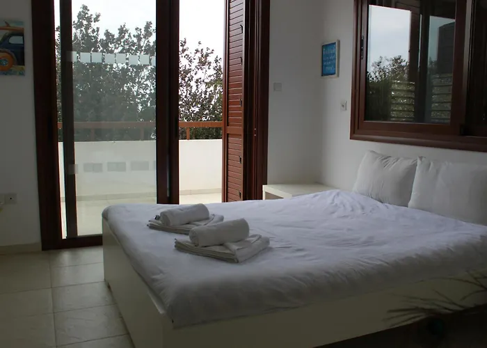 The Olive Tree * 프로타라스