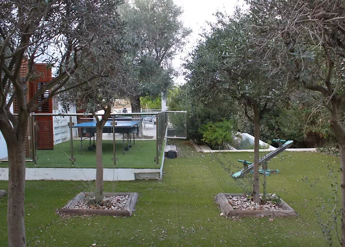 The Olive Tree 빌라