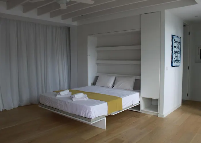 The Olive Tree * 프로타라스