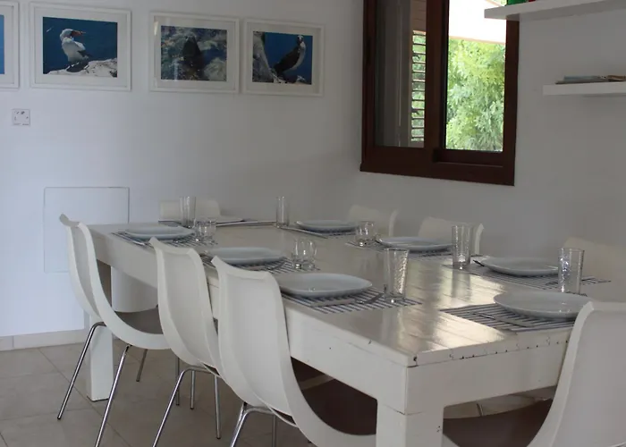 The Olive Tree 빌라 프로타라스