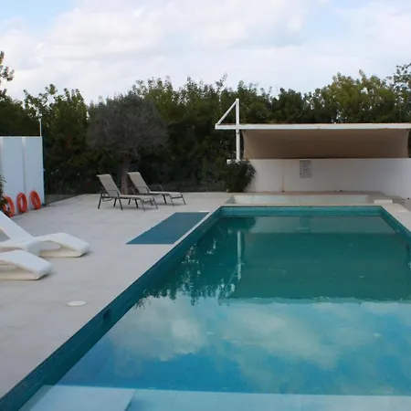 The Olive Tree فيلة