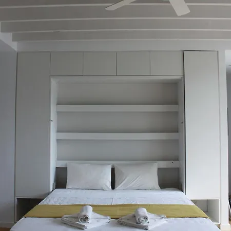 فيلة The Olive Tree *