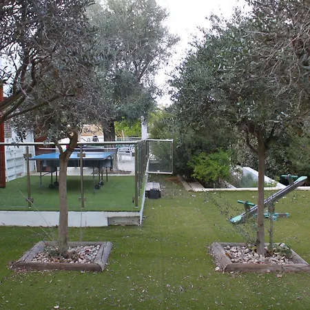 The Olive Tree فيلة