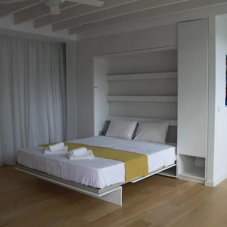 The Olive Tree * بروتاراس