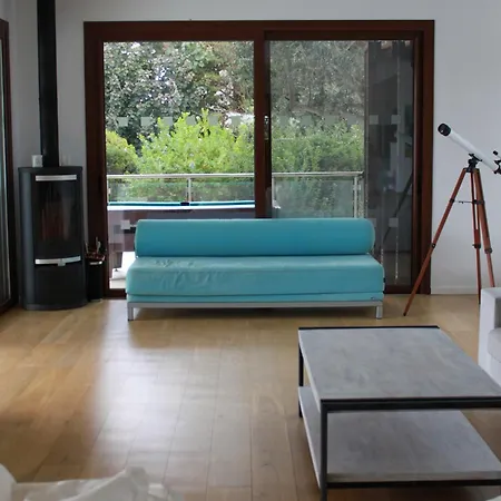 The Olive Tree فيلة *