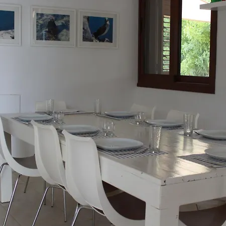 The Olive Tree فيلة بروتاراس