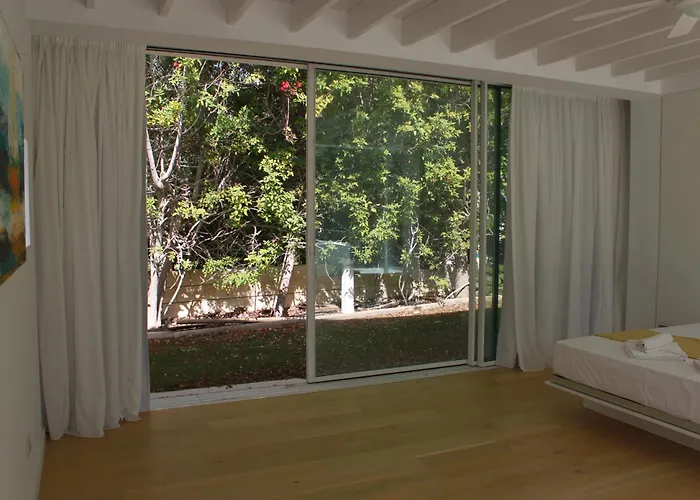 The Olive Tree Protaras