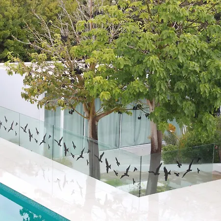 Villa The Olive Tree *
