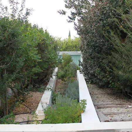 Villa The Olive Tree