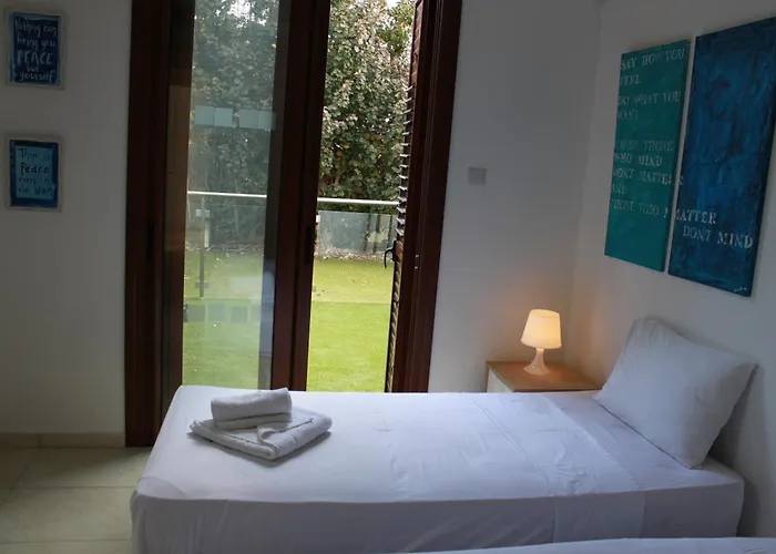 The Olive Tree プロタラス