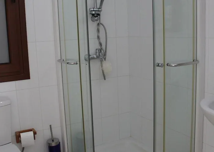 别墅 The Olive Tree 普罗塔拉斯