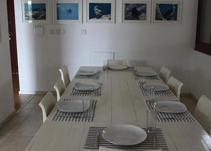 The Olive Tree 普罗塔拉斯