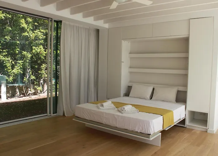 The Olive Tree プロタラス