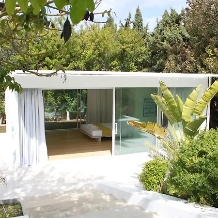 The Olive Tree * פרוטאראס