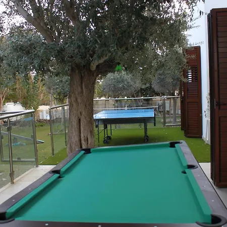 The Olive Tree וילה פרוטאראס