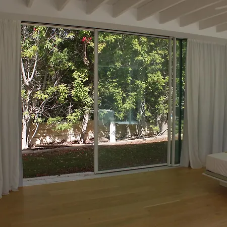 The Olive Tree פרוטאראס