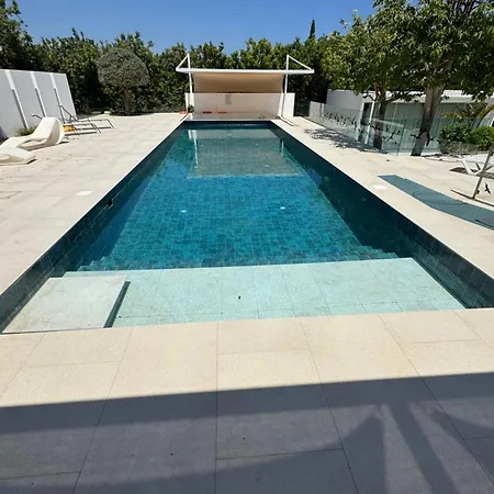 The Olive Tree * פרוטאראס