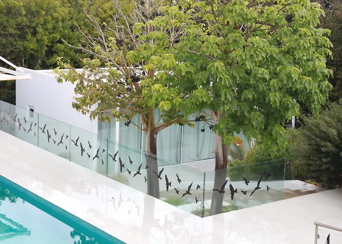 Villa The Olive Tree *