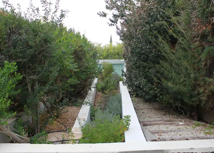 Villa The Olive Tree